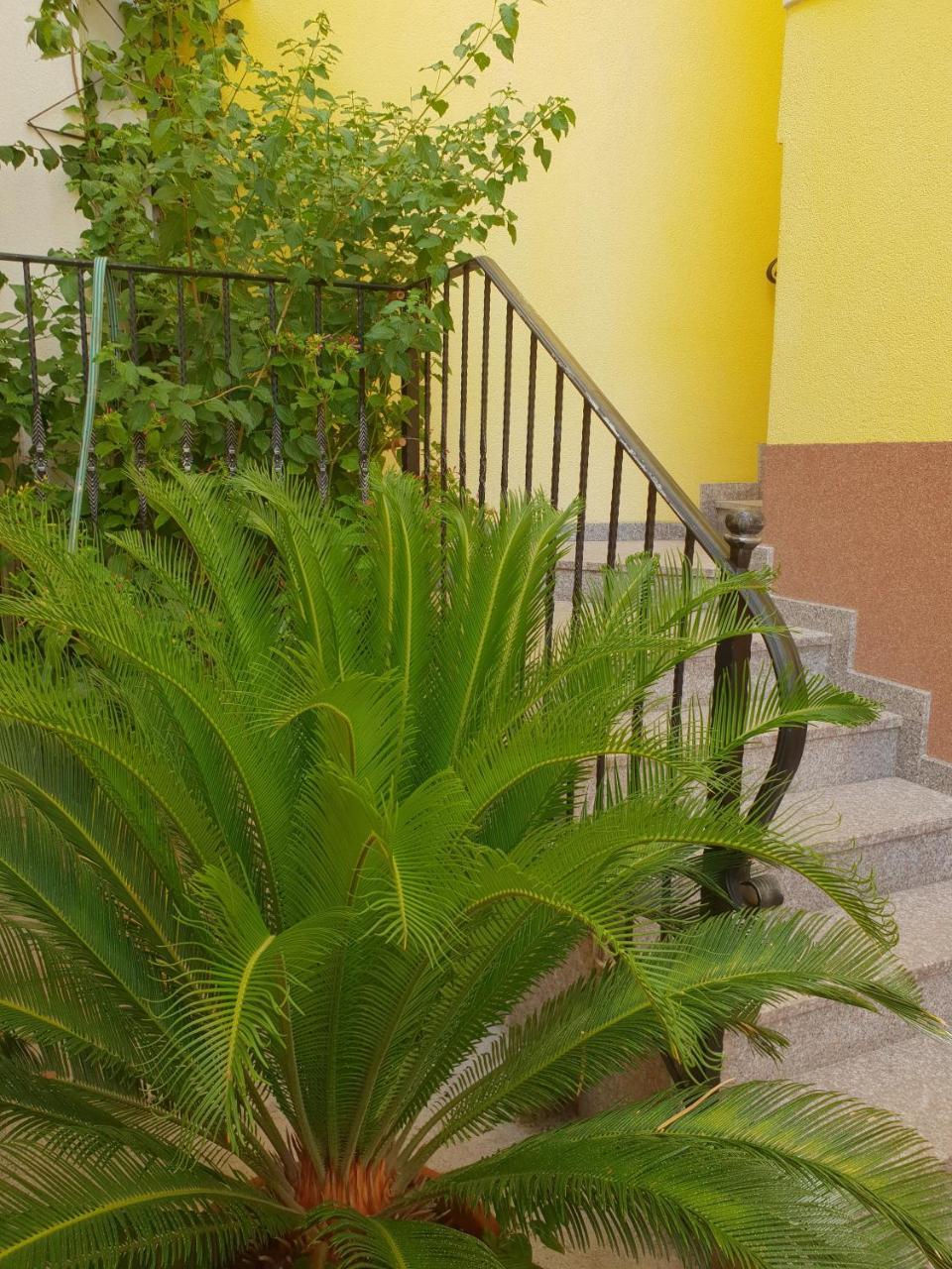 Apartments Cytrus Неум Экстерьер фото